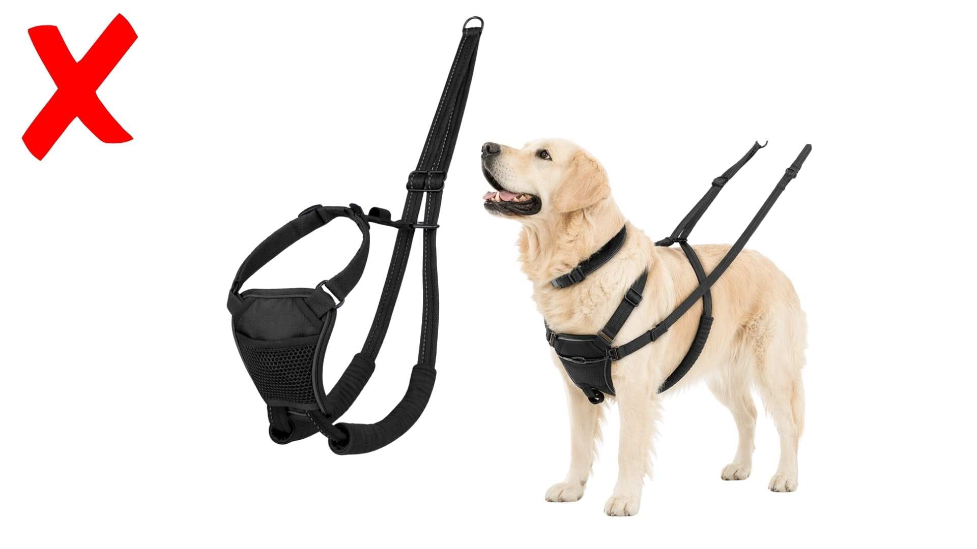 Arnés halti para perros